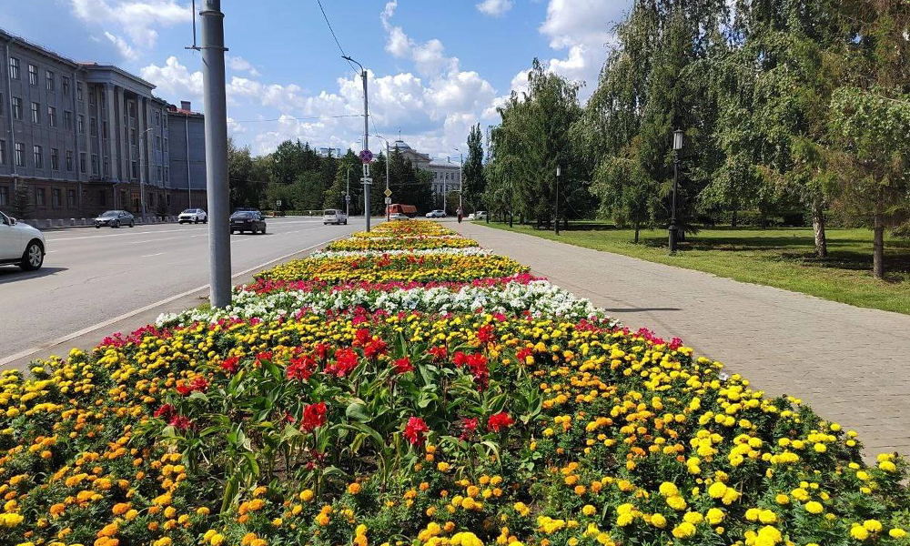 Мэрия ищет исполнителя, который поставит цветы для улиц Омска