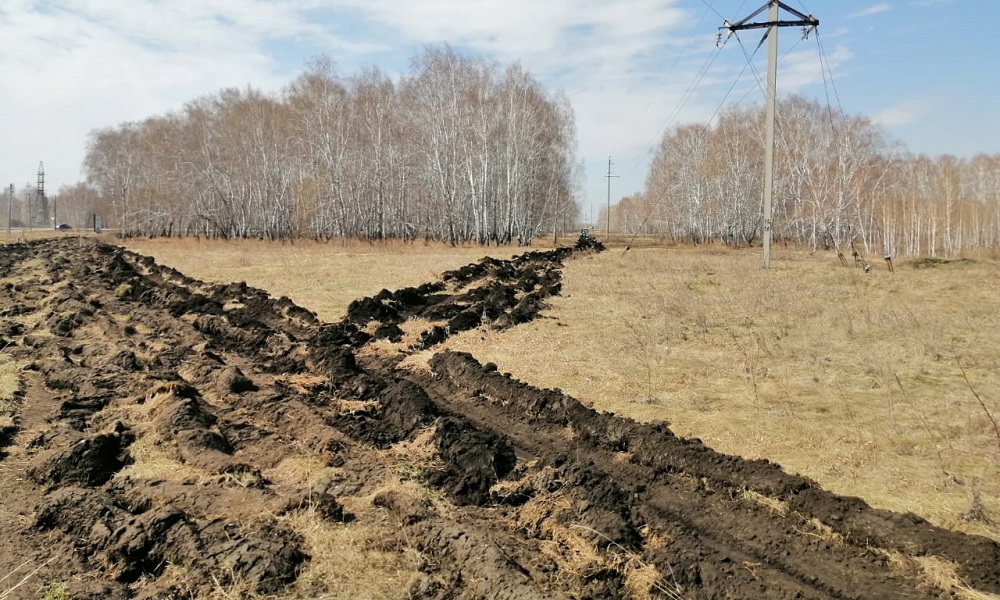 В Омской области ищут подрядчика, который займётся созданием противопожарных полос