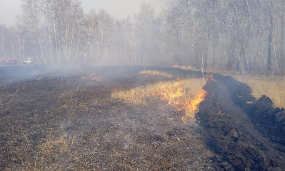 В Омской области продлили запрет на посещение лесов