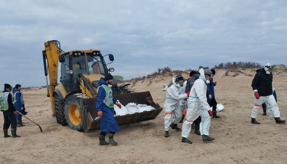 В Омске набирают добровольцев для ликвидации последствий ЧС в Краснодарском крае 