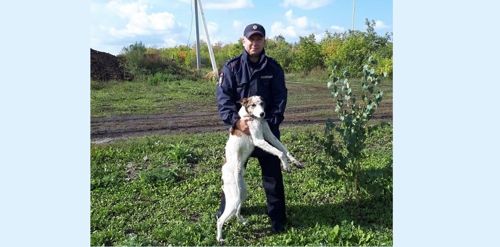 Избивал лопатой, колол вилами: омский полицейский спас собаку от жестокой смерти