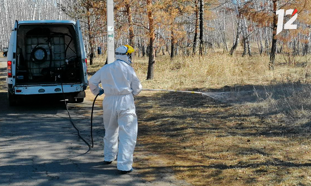 В Омской области обратились к медикам уже 2583 пострадавших от укусов клещей
