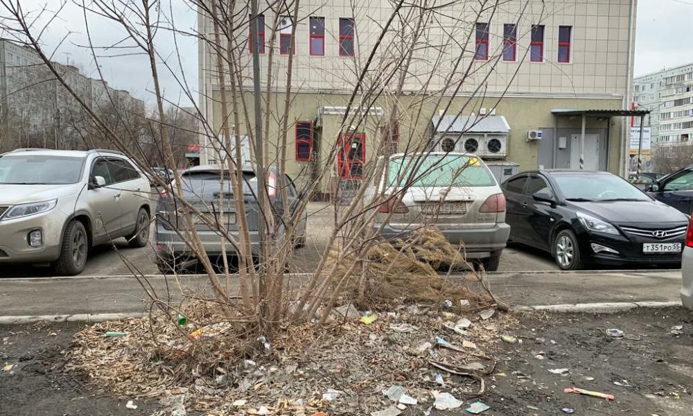 Мэр Омска Сергей Шелест поручил главе Кировского округа «убраться на Левом берегу» 