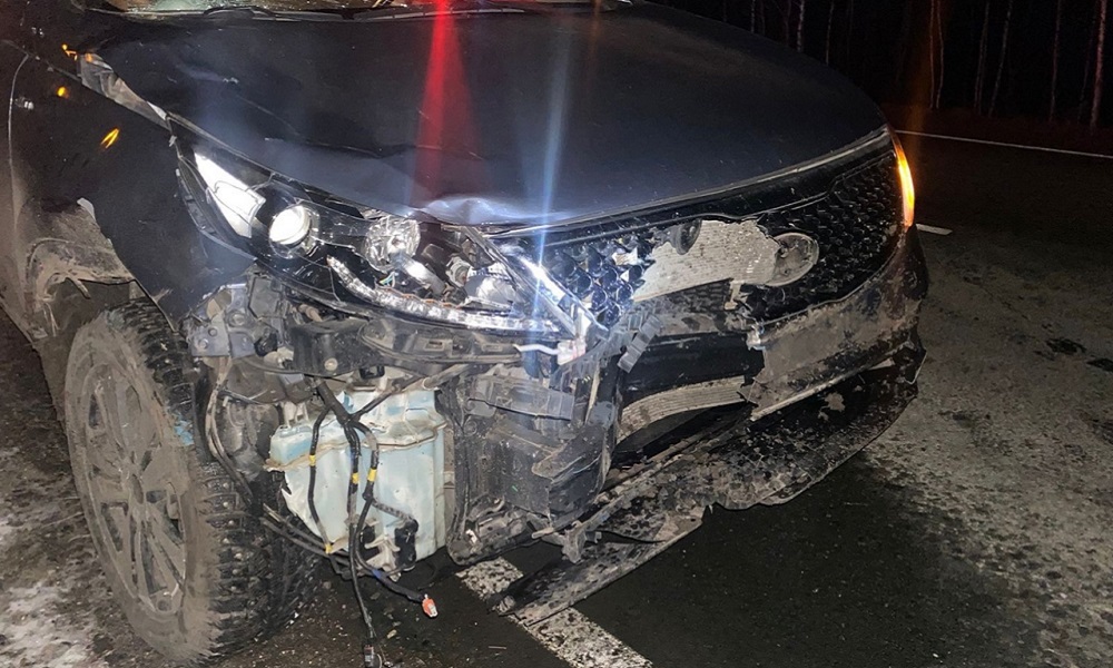 На трассе Омск — Муромцево Kia врезалась в мотоблок