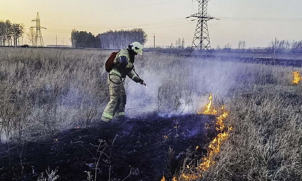 В Омской области продлили запрет на посещение лесов в связи с пожароопасной обстановкой
