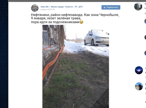 В омских Нефтяниках зазеленела трава