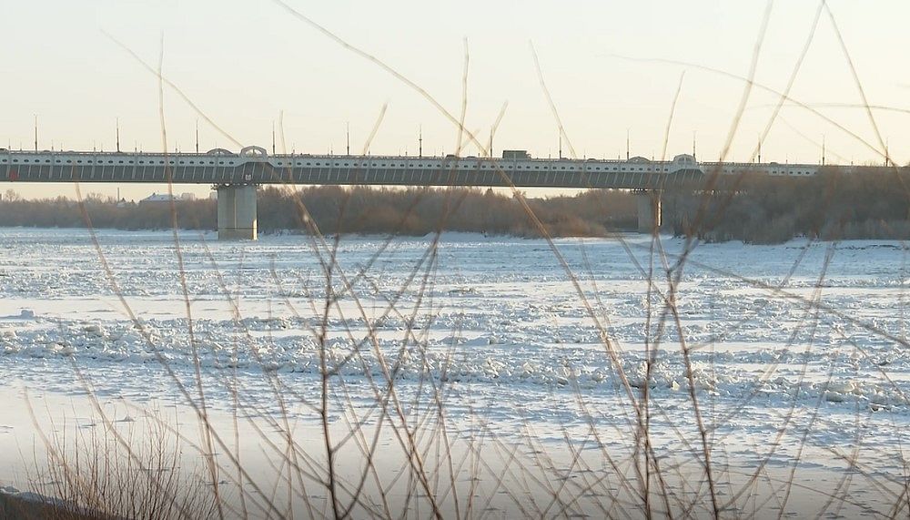 Омич поймал рака в черте города