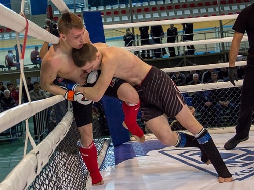 Завершились чемпионат и первенство Омской области по ММА
