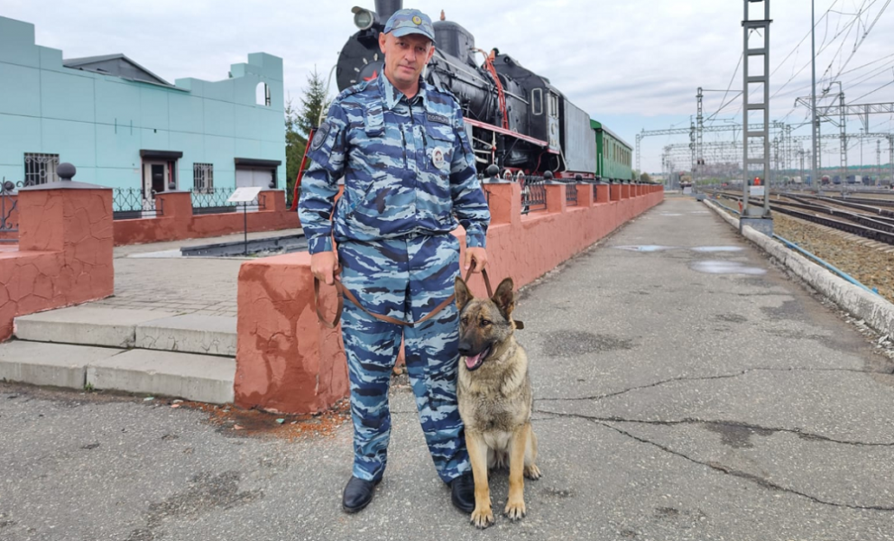 Немецкая овчарка по кличке Коррида помогает транспортной полиции в Омске искать оружие и взрывчатку