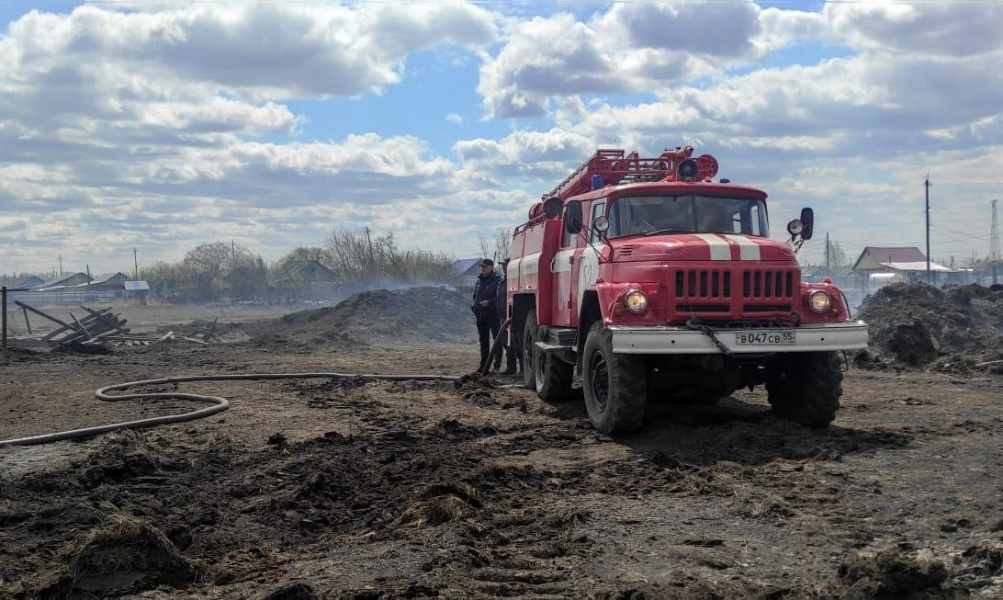 Дожди в Омской области помогли в борьбе с лесными пожарами, но разводить костры всё ещё нельзя