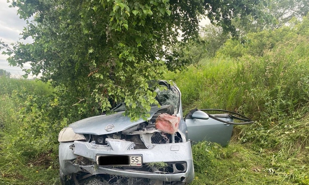 Под Омском водитель Nissan влетел в дерево и погиб 