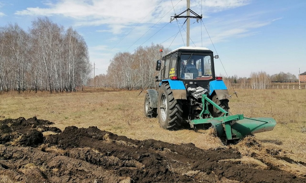 В Омске ищут подрядчика, который подготовит город к пожароопасному сезону