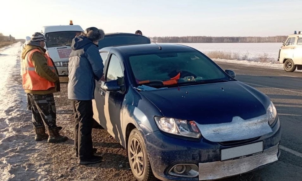 Омские полицейские спасли годовалого ребёнка, который был заперт в машине 