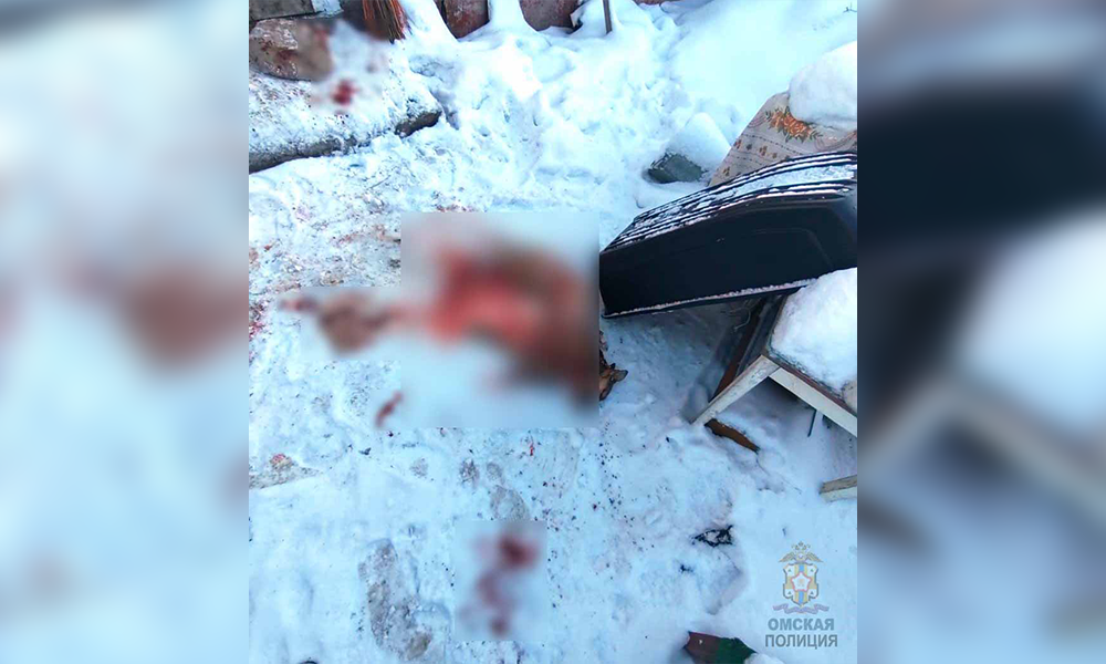 В Омске полицейские возбудили уголовное дело в отношении 32-летнего мужчины за жестокое обращение с животными