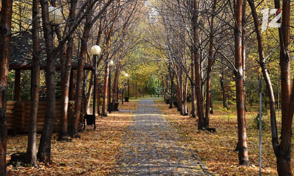 Омск стал лидером среди российских городов-миллионников по наступлению бабьего лета