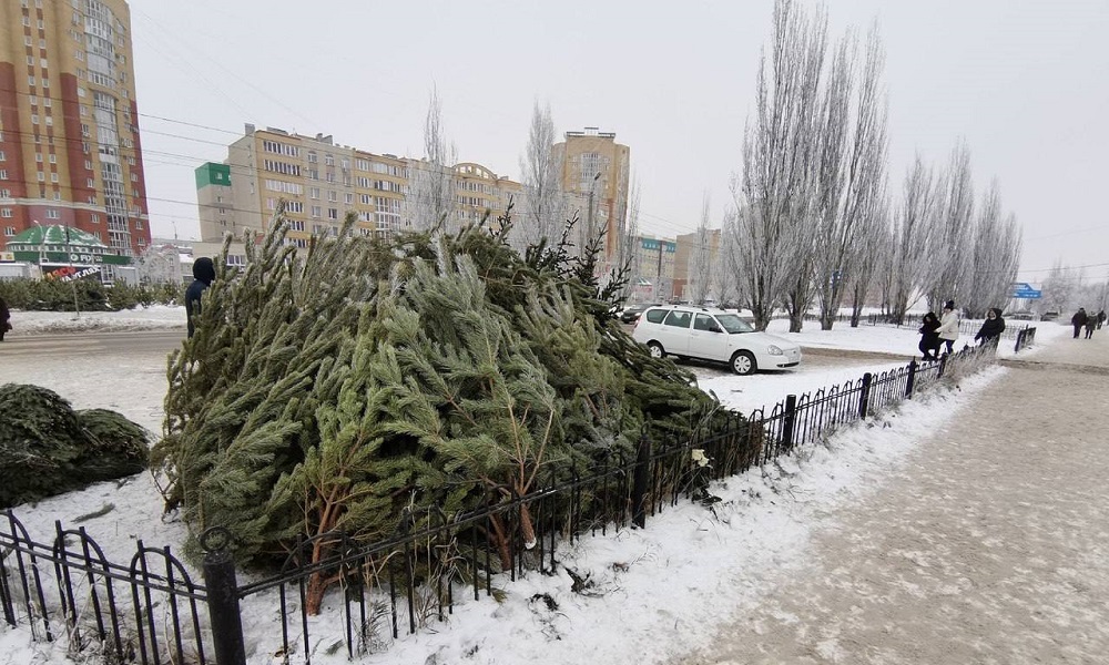 В Кировском округе Омска определили площадки для ёлочных базаров