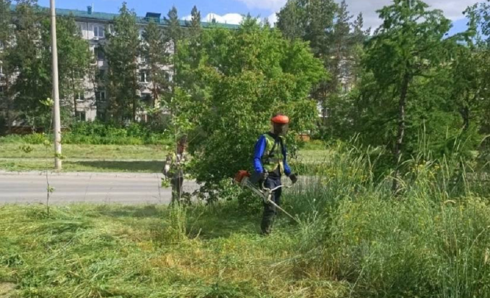 На улице Лукашевича скосили траву по просьбам омичей