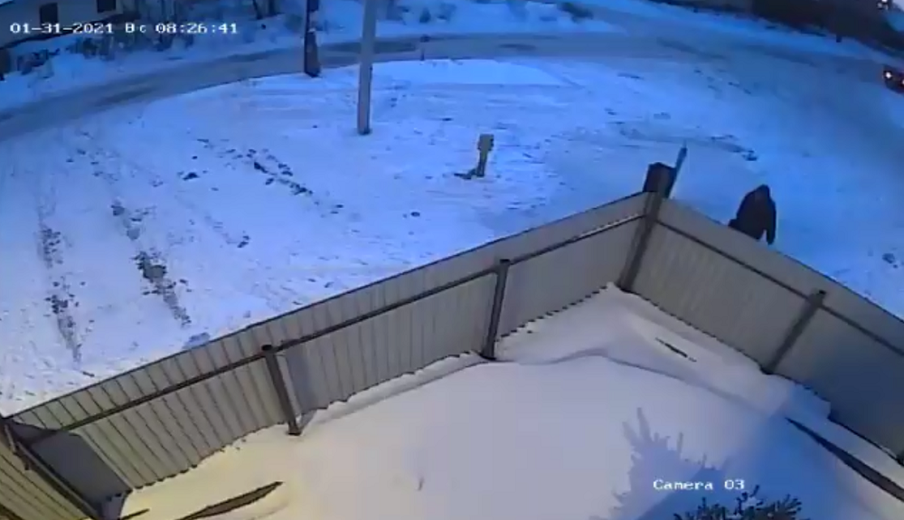 Омские силовики ищут свидетеля убийства таксиста, которое совершил пьяный 18-летний рецидивист
