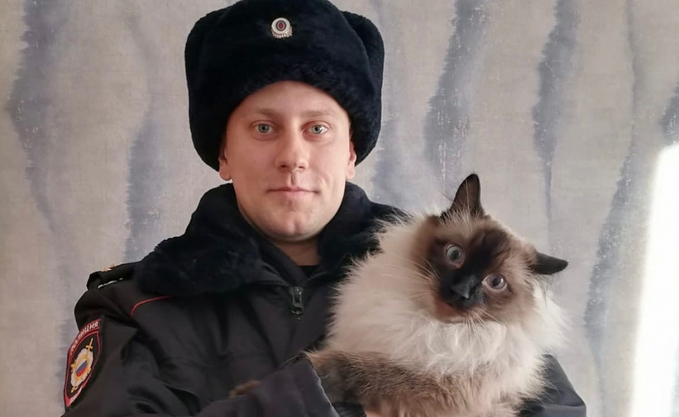 Омский полицейский спас примёрзших к земле щенков