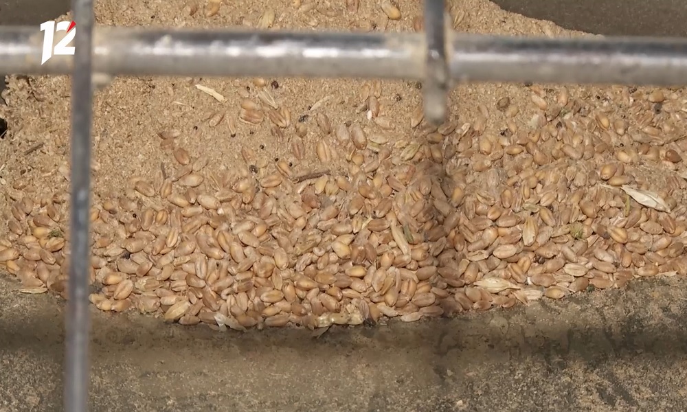 Омская сельхозпродукция выходит на новые рынки